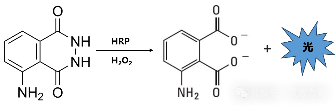 640 (3).png