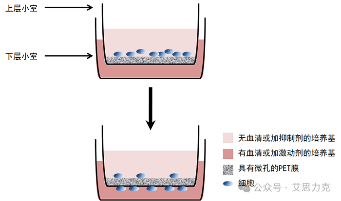 640 (1).png