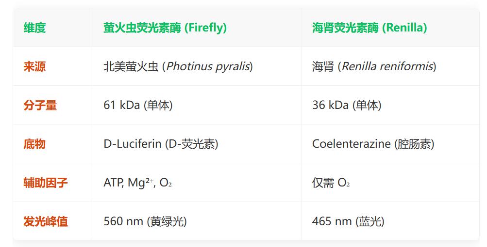 QQ截圖20260121202052.jpg