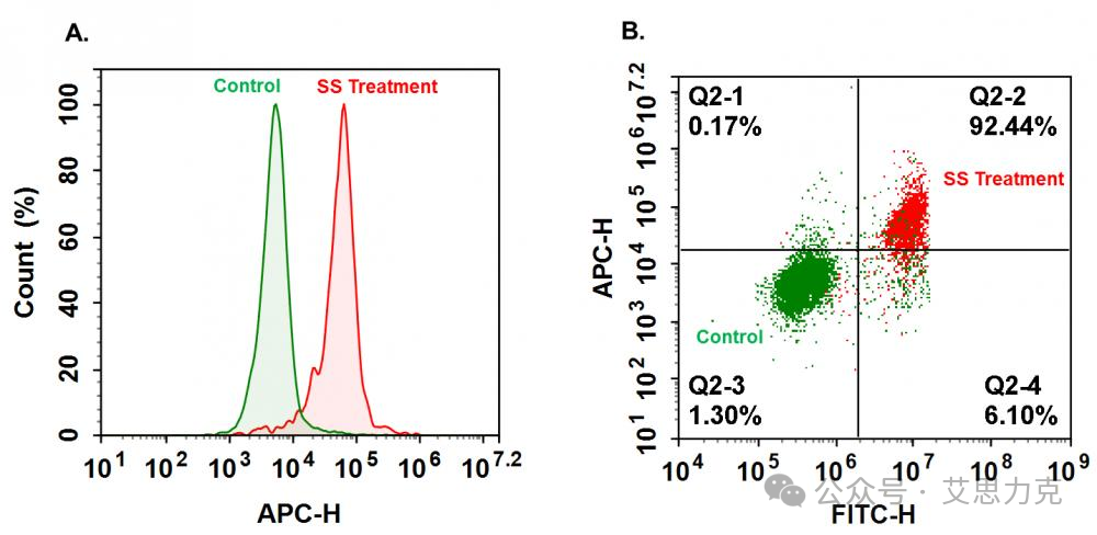 一文搞懂細胞凋亡檢測：Annexin V/PI、JC-1、Caspase-3活性、TUNEL、PARP、Sub-G1 等從原理到多參數實操
